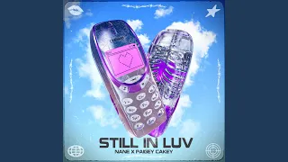 NANE x Paigey Cakey - STILL IN LUV