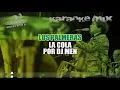 LOS PALMERAS / LA COLA, PERRA, EL MAS POPULAR, TITERE, LA CHOLA Karaoke enganchado