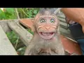 Download Lagu WHAT'S WRONG WITH ROCKY? HE BIT THE CAMERAMAN 😨😱 
