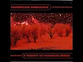 Horizon - Augenstern