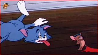 Cartoons For Kids Tom And Jerry Episode 108 Mucho Mouse Part 3 