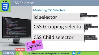 css selectors in web technology CSS ID Grouping Child Selector Explained in Hindi