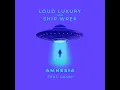 Amnesia (feat. GASHI) [Extended Mix]
