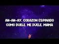 Santana - Corazon Espinado (Lyrics) ft. Mana