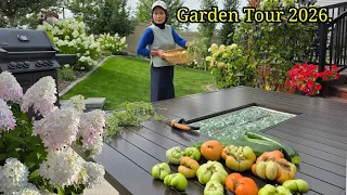 Garden Tour Sambil Panen.Halaman Rumah Yang Banyak Bunga ,Buah, Sayur.