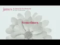 JAMES - Sometimes (Orchestral Version - official audio)