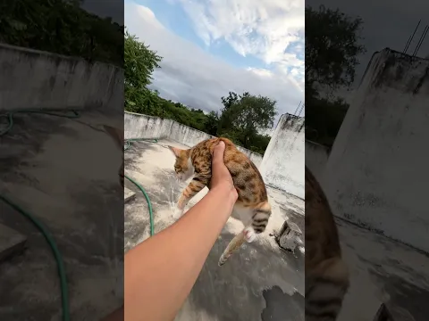Aaj Iski Kher nhi 😡🫵🏻