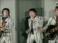 NEW 📀 Wild Thing - The Troggs {DES Stereo} 1966