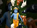 Download Lagu 🌺govind bolo Hari gopal bolo #shorts #short #song #new #love #cute #virdavan #bhaktivibes #trending