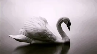 عندك خبر   عبد المجيد عبد الله دندنها