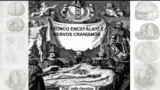 Vídeo aula: Tronco encefálico e nervos cranianos