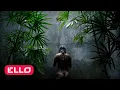 Get Up Now! - Spotlight