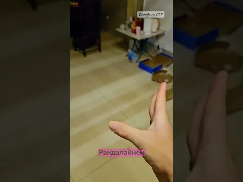 У этого кота 170 IQ 😼