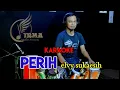 Download Lagu PERIH KARAOKE ( ELVY SUKAESIH )