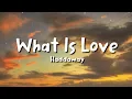 Download Lagu Haddaway - What is love (Lyrics)