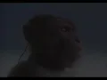 Tell em cochise | But its reversed