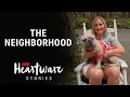 The Neighborhood Ace Heartware Stories