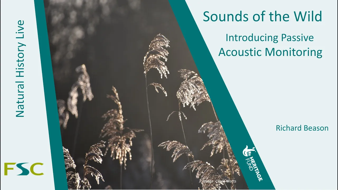 Sounds of the Wild: Introducing Passive Acoustic Monitoring