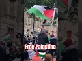 free Palestine|free Gaza| #freepalestine #freegaza