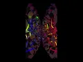Download Lagu DJ song -dj gratata tiktok -dj melody mumy- disco beat(club mix )-passo (phonix slow)-club/house/