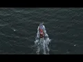 Summer Ocean Vibe - Летняя атмосфера океана