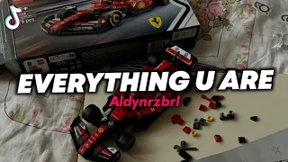 dj everything u are hindia viral tiktok 