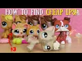 Where to Find CHEAP LPS Haul