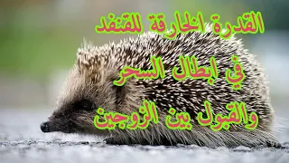 بخري بشوك القنفود باش تحيدي علك التابعة وتبطلي السحر وتفكي نفسك وتحركي القبول 