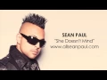 Download Lagu Sean Paul - She Doesn't Mind (Official Audio)