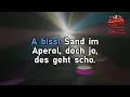Glueboys - Lignano (Lyrics Version 2026) 100+ subtitle languages! HD 1920 x 1080p Lyrics Lyrics L...