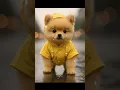 Download Lagu Chillout Music with Cute Creatures 🎵