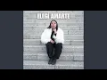Download Lagu Elegí Amarte