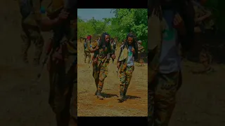 Tarkaanfii Cululuqaa Jaal Marroo Abiyi 