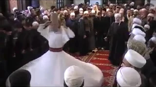                                 دندنها