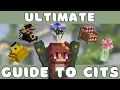 Ultimate Guide to CITs How to Add Cottagecore Decorations to Minecraft