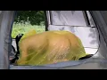 Download Lagu Video Full:380 Days Gardening - Harvesting Huge Bamboo Shoot - make wooden doors,building a new life