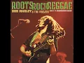 Positive Vibration (Live At The Hammersmith Odeon, London, UK - June, 1976)