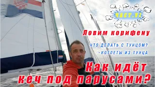 Переход: Пальма де Майорка – Бенальмадена (Испания)