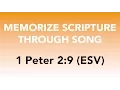 1 Peter 2 9 ESV - His Marvelous Light