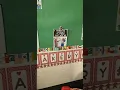Bakery Dramatic Play