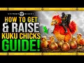 Crimson Desert - How To Get Raise Baby KUKU CHICKS Get Kuku Bird Mounts