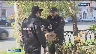 В скандале с незаконной вырубкой деревьев точку поставит уже полиция