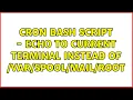 Cron Bash Script - echo to current terminal instead of 2 Solutions
