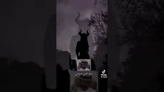 احب الليل والسهره على شاطئ القمر حالي دندنها