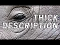What is a Thick Description