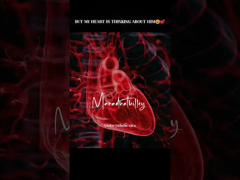 You Are In My Heart - YouTube