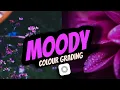 Lagu MOODY COLOUR GRADING TUTORIAL |COLOR GRADE YOUR MOBILE VIDEOS WITH VSCO |