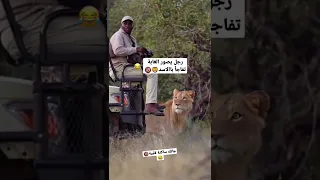 يصور  الغابة تفاجأ ب  الاسد                                               دندنها