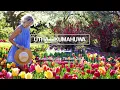 UTHA LIKUMAHUA - Kenikmatan Tersendiri (Official Audio)