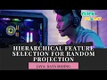 JAVA Data Mining Project Hierarchical Feature Selection for Random Projection ClickMyProject